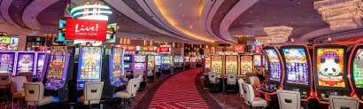 wynn56