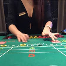 wynn56